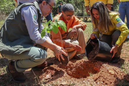 Imagem colorida da Ministra do Meio Ambiente, Marina Silva, com projeto de reflorestamento