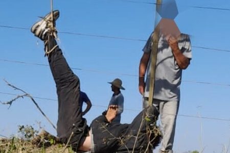 Em foto colorida ladrão com pernas amarradas em árvore e costas enconstadas no pasto com grama seca - Metrópoles