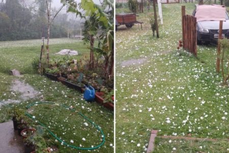 Imagem colorida de grama repleta de pedras de granizo - Metrópoles