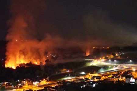 Imagem colorida de incêndio em mata - Metrópoles