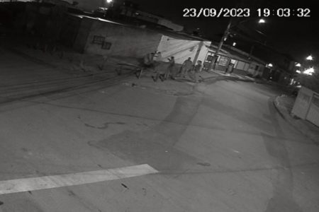 Vizinhança atacando pit-bull