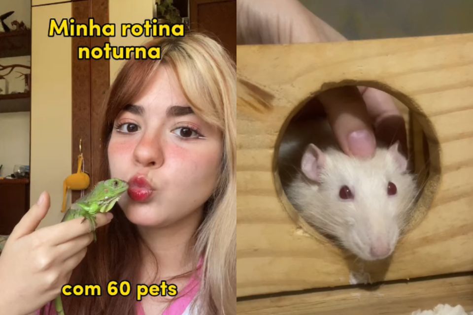 Foto colorida de uma mulher segurando uma iguana e um rato ao lado - Metrópoles