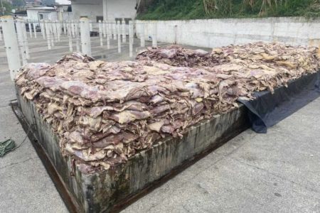 Em foto colorida carne seca sobre plataforma de pedra ao ar livre - Metrópoles