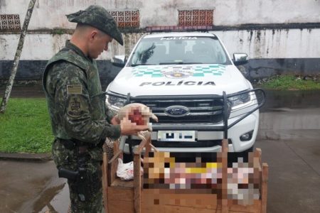 Em foto colorida PM com uniforme camuflado segura pedaço de animal congelado - Metrópoles