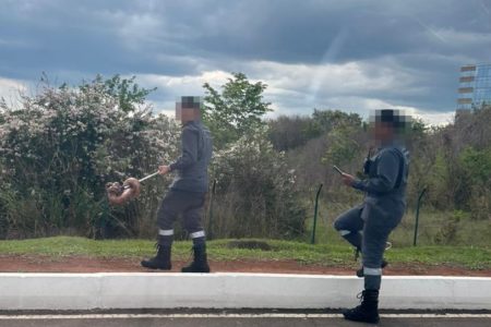 Imagem colorida de duas pessoas com uniforme cinza em região de mata