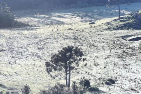 Foto colorida de campos com geada na serra de Santa Catarina