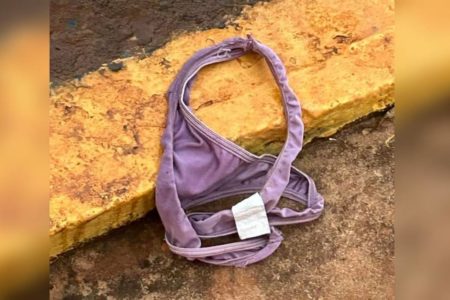 Imagem colorida mostra calcinha lilás encontrada no chão de parque aquático - Metrópoles