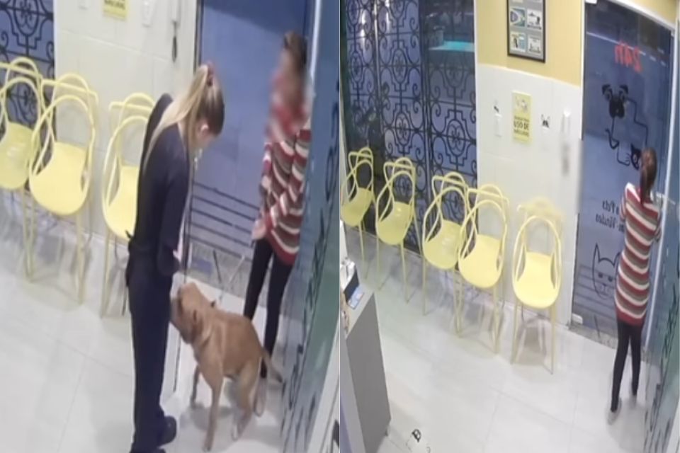 Foto colorida de duas mulheres e um cachorro em uma clínica veterinária - Metrópoles