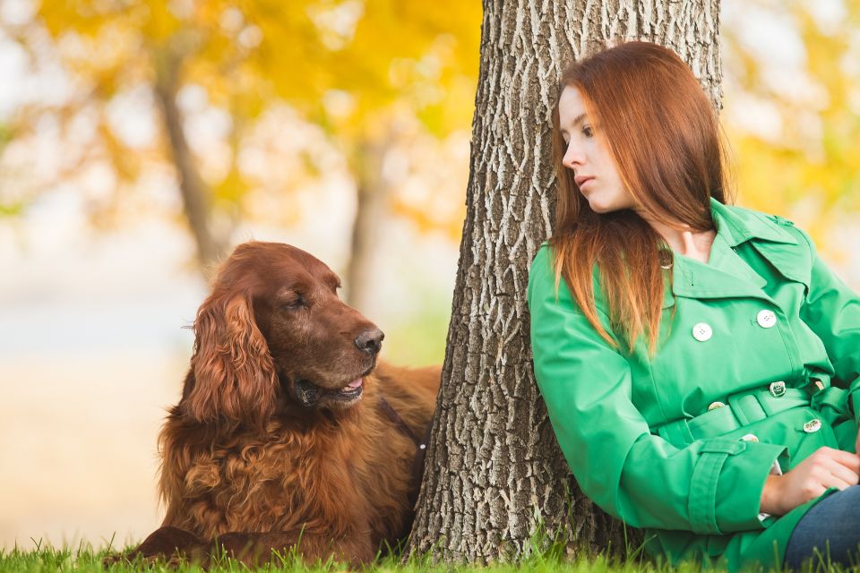 Cachorro e mulher debaixo de uma arvore