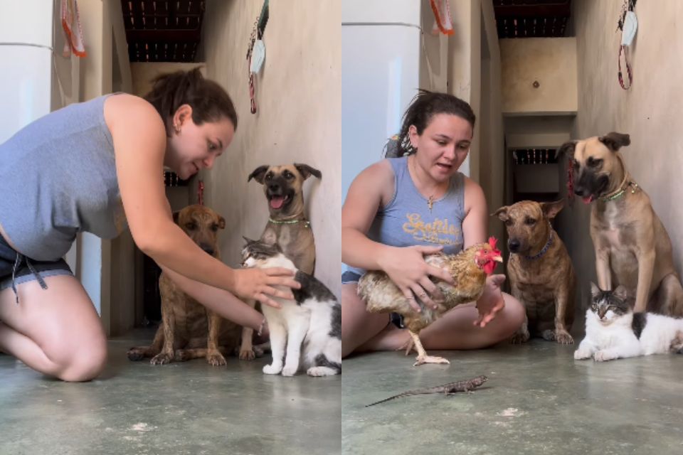 Foto colorida de uma mulher com vários animais - Metrópoles