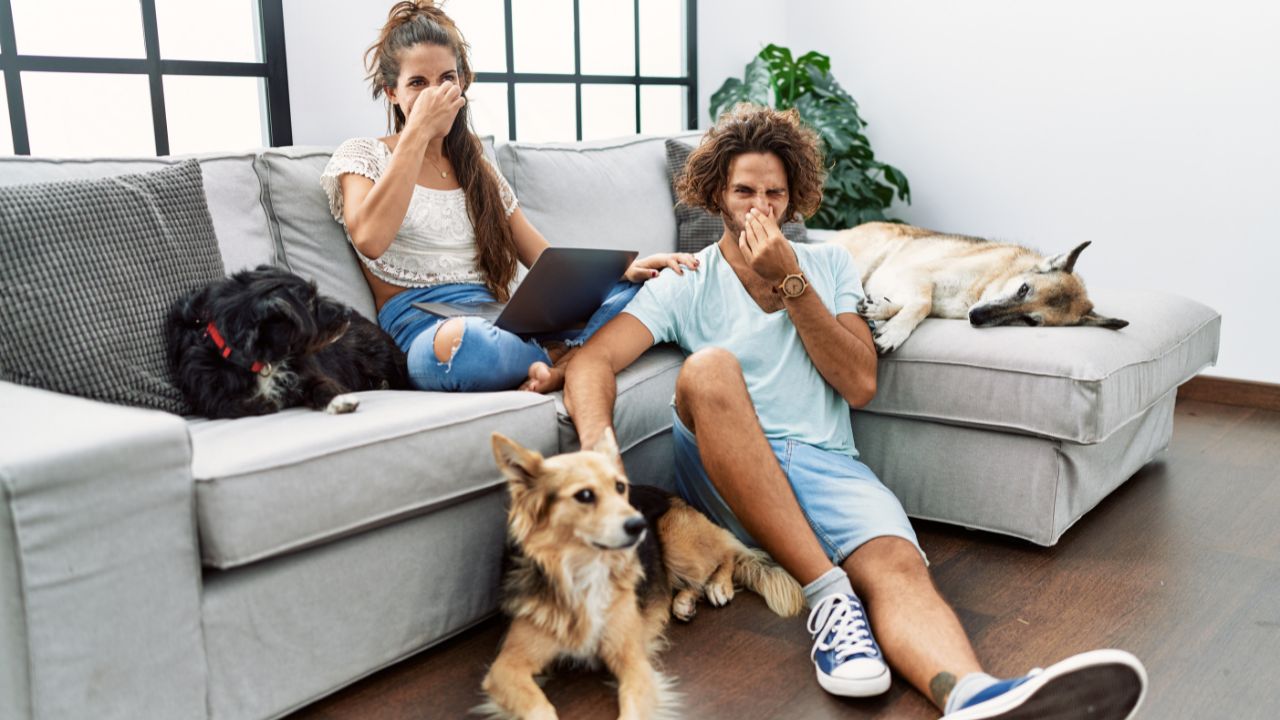 odor de cachorro em casa
