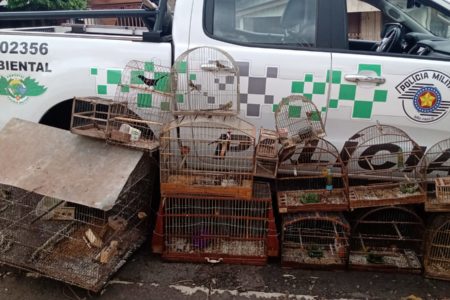 Gaiolas em frente a viatura da Polícia Militar Ambiental - Metrópoles