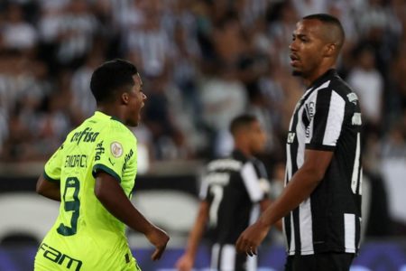 Imagem mostra jogadores de Palmeiras e Botafogo - Metrópoles