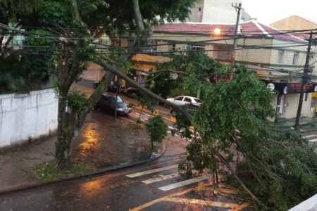 Imagem colorida mostra árvore caída em cima de carro em São Paulo. Problema causou queda de energia em diversas regiões. Tempestade causou a morte de várias pessoas - Metrópoles