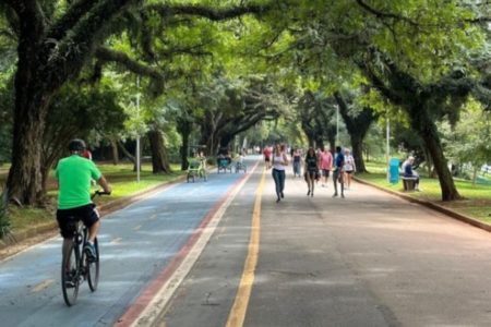 Foto colorida mostra alameda do Parque Ibirapuera, com ciclista pedalando na ciclofaixa e pedestres caminhando ao lado