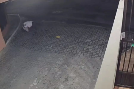 Vídeo mostra momento em que homem é morto a tiros em perseguição em Lauro de Freitas