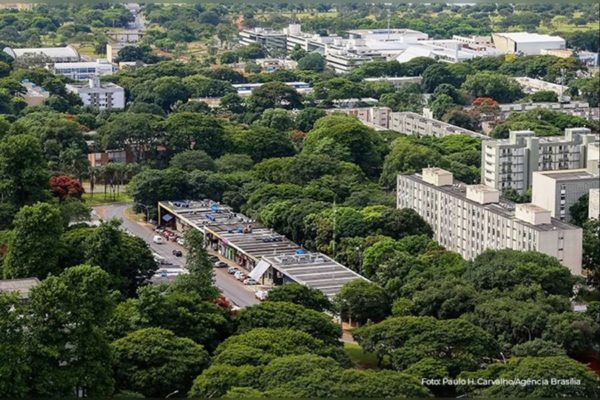 Imagem colorida de área arborizada no Plano Piloto - Metrópoles