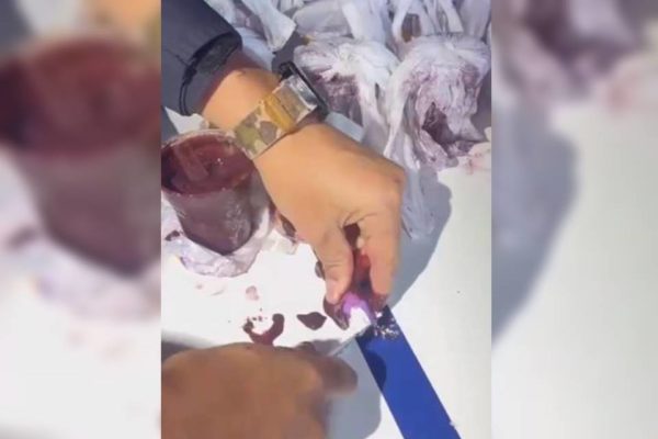 PM encontra cocaína dentro de açaí no DF - Metrópoles