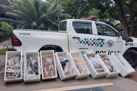 foto colorida dos 125 quilos de peixes apreendidos pela Polícia Ambiental e doados a um centro de recuperação de dependentes químicos em SP - Metrópoles