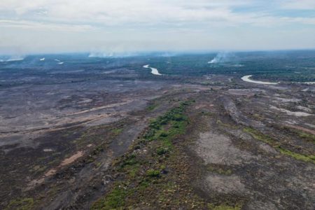 Foto colorida de área destruída pelo fogo no Pantanal - Metrópoles