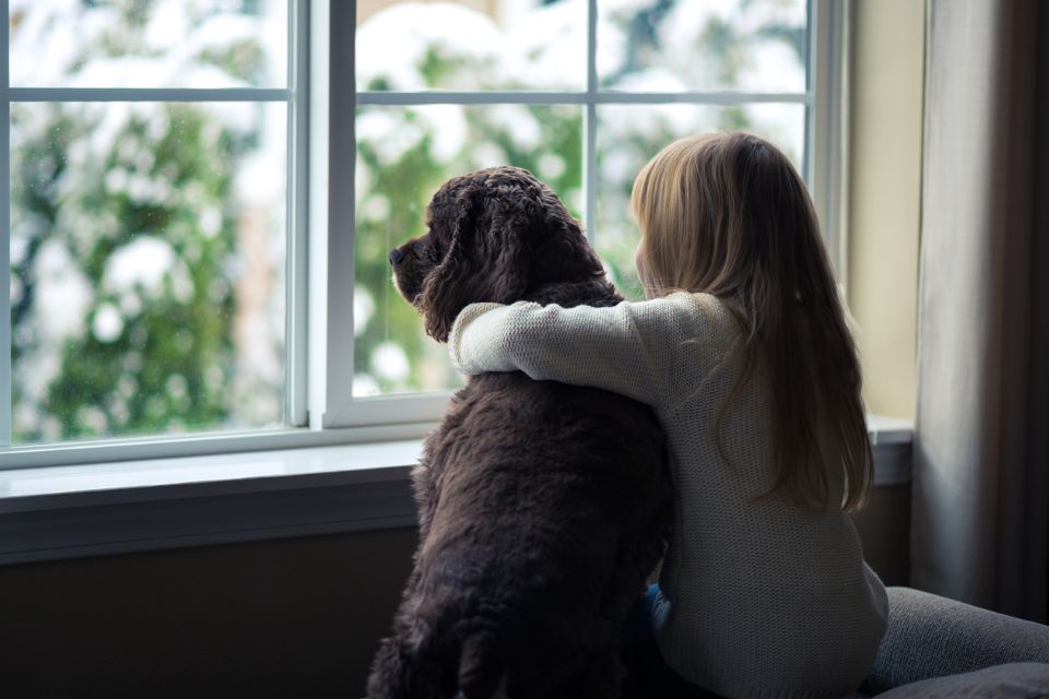 criança de costas ao lado de um cachorro