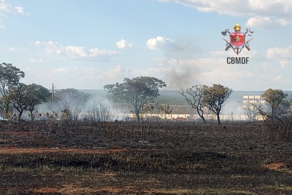 Incêndio florestal df