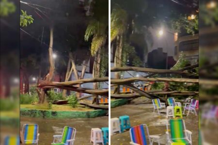 foto colorida mostra árvore caída sobre mesas de bar em Santa Cecília, SP, durante forte chuva na capital. Vários estabelecimentos ficaram sem luz - Metrópoles