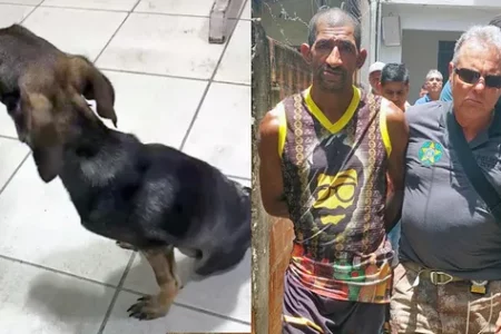 Homem é preso por espancar cachorro na Zona Oeste do Rio