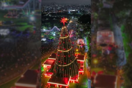 imagem colorida mostra arvore de natal no parque villa lobos - metrópoles