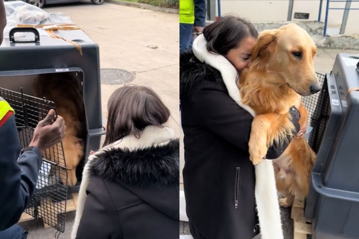 Foto colorida de um cachorro e uma mulher - Metrópoles