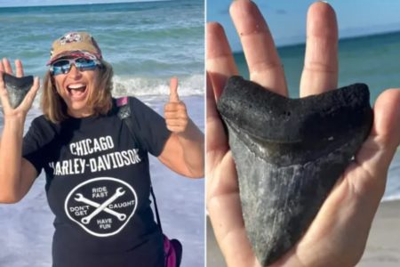 motnagem com foto de mulher de camiseta preta, bone e oculos sorrindo e foto de mão segurando dente pontudo preto - metrópoles