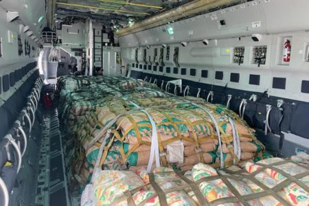 Foto colorida de avião da FAB com alimentos para o Egito - Metrópoles