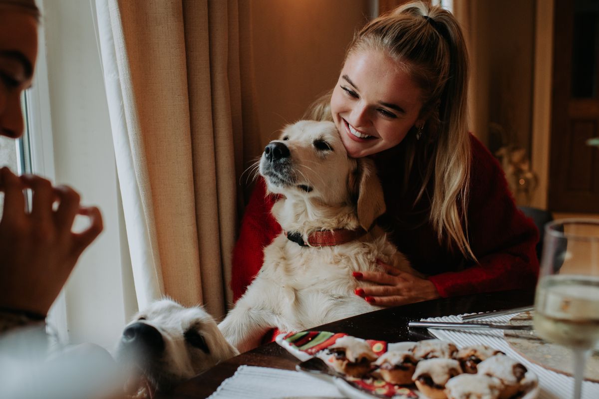 Foto colorida de um cachorro em cima da mesa - Metrópoles