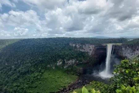 Imagem colorida da floresta amazônica essequibo - Metrópoles