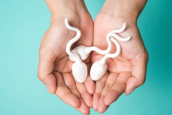 Foto colorida de duas mãos juntas fotografadas de cima com miniaturas de espermatozoides em um fundo verde azulado - Metrópoles