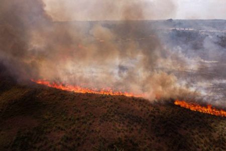 Imagem colorida da seca no Amazonas - Metrópoles