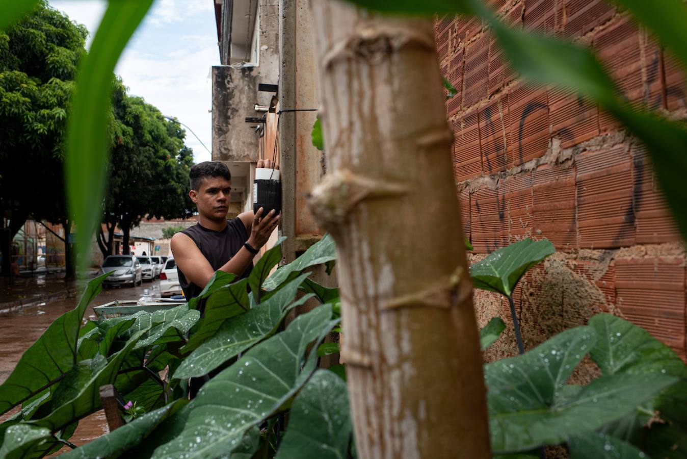 Foto colorida de cidadão procurando foco de dengue em casa - Metrópoles