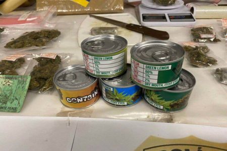 Em foto colorida, latas semelhantes as usadas para acondicionar atum, mas com rótulos aludindo à maconha - Metrópoles