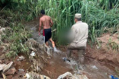 imagem colorida bebe encontrado morto em corrego goias