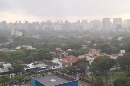 Imagem mostra chuva sobre bairro arborizado - Metrópoles