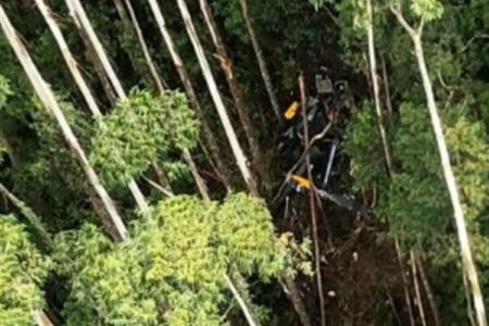 Imagem aérea dos destroços de helicóptero que caiu na região de mata em Paraibuna - Metrópoles