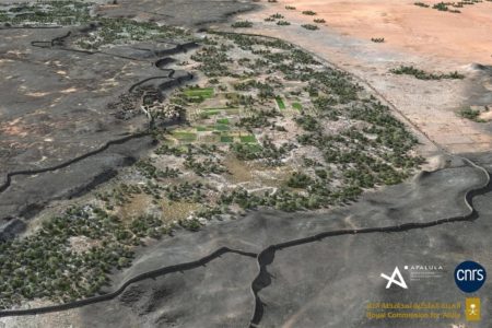 Imagem de um região de bioma florestal, cercada por deserto, um oásis - Metrópoles