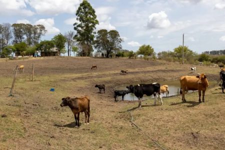 Foto colorida de região afetada pela estiagem no Rio Grande do Sul - Metrópoles