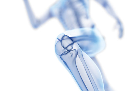 Ilustração de um corpo transparente em que aparecem os ossos - Metrópoles
