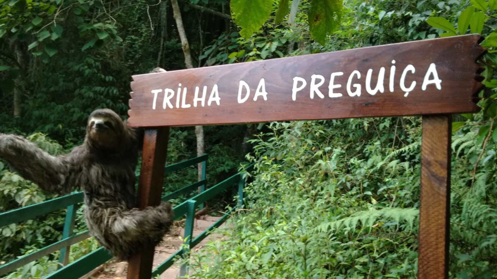 Foto colorida da Trilha da Preguiça, no Parque Municipal Fazenda do Carmo - Metrópoles