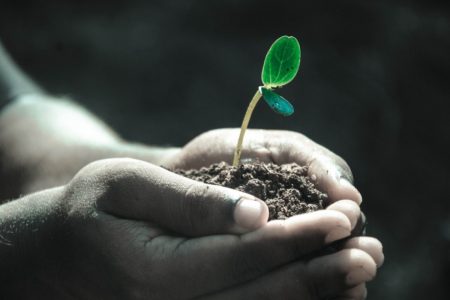 Imagem das mãos de uma pessoa segurando um broto de uma planta - Metrópoles