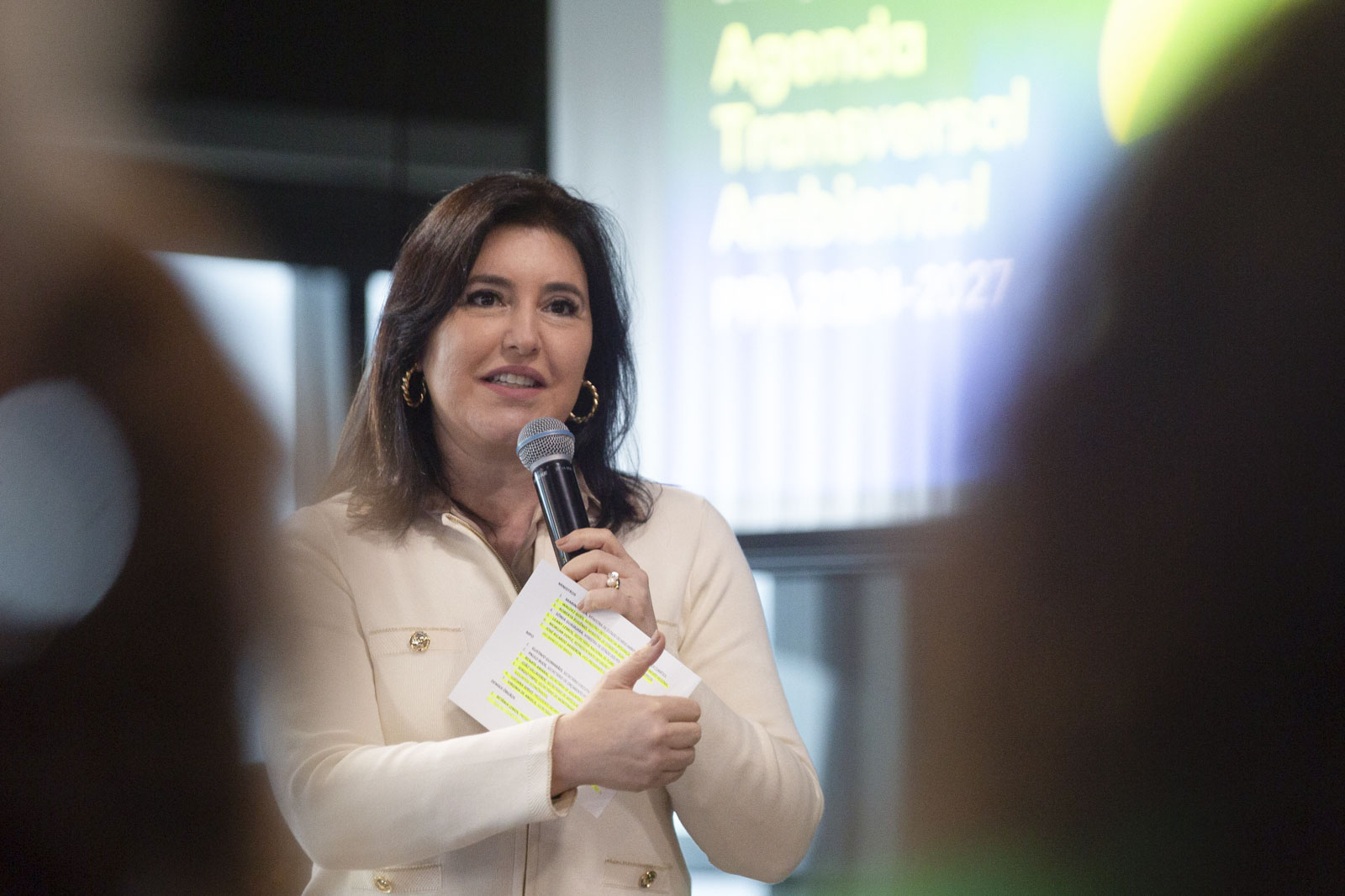 Ministras Simone Tebet lança relatório da Agenda Transversal Ambiental do Plano Plurianual 2024-2027 - Metrópoles
