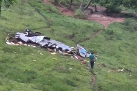 imagem avião caiu minas gerais - metrópoles