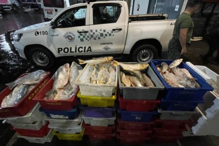 Imagem colorida mostra carga de mais de 500 kg de peixes apreendidos pela PM Ambiental - Metrópoles