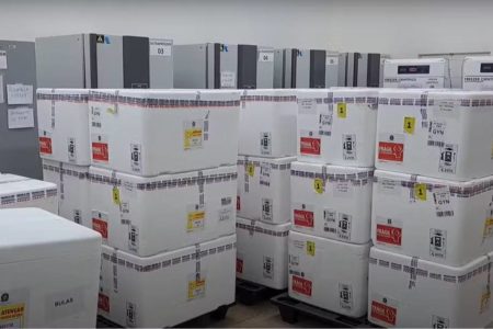 imagem colorida vacina contra dengue chega a goias